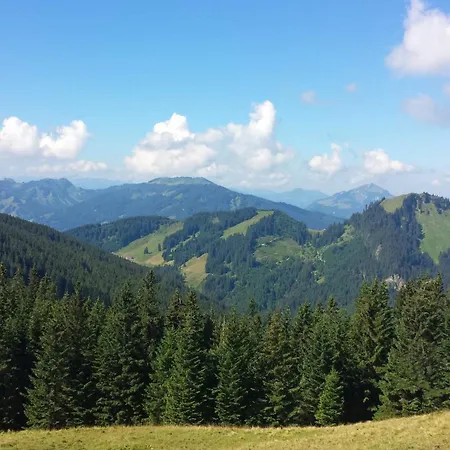 דירה Haus Hindelang - 2 Fewos Mit Zugspitzblick, Inkl Koenigscard, Gratis Parken & Wlan, Self Check-in, 5 Minuten Ins Zentrum *